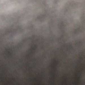 Meet your Posher, Denica